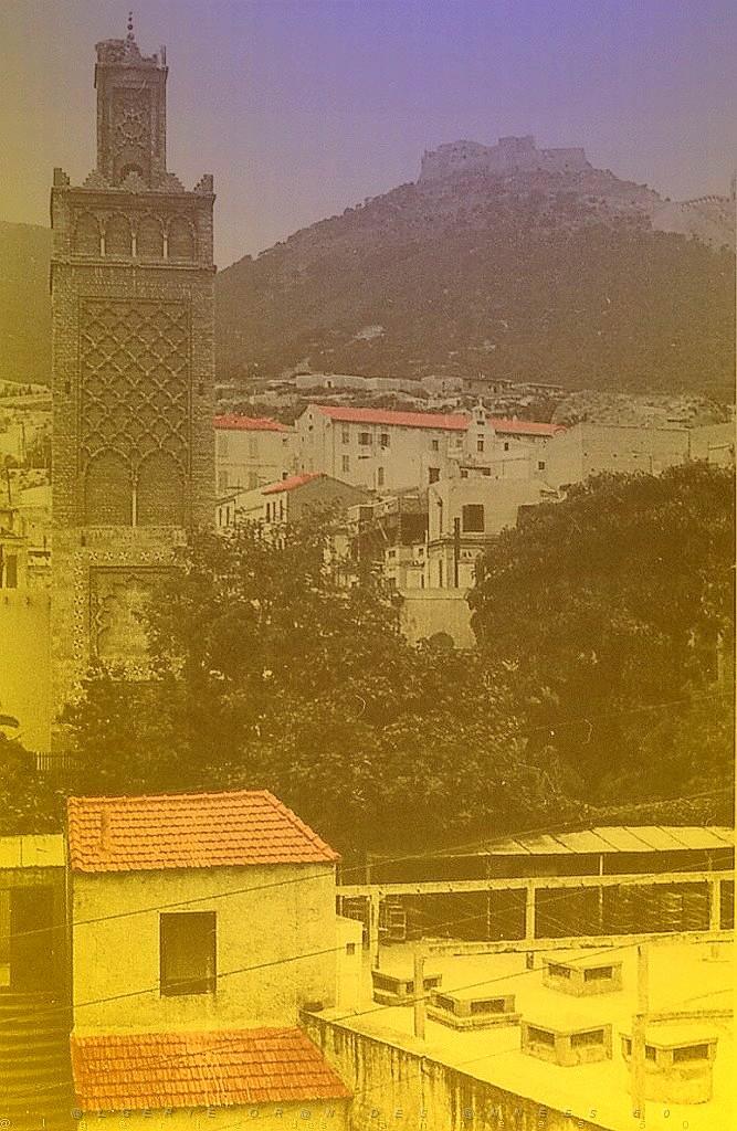 ORAN 02407.jpg